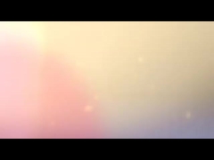 o portátil leva o saco